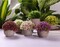 6 Pack Mini Artificial Succulent Small Potted Plants – Colorful Faux Lifelike Desk & Home Office Decor for Indoor Display